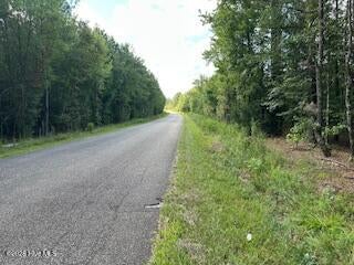 Photo of 0 Old Chapell Ferry Road, Edgefield, SC 29824 (MLS # 100612612)