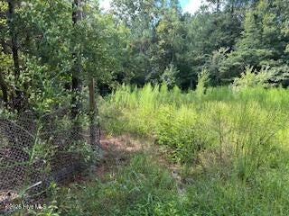 Photo of 0 Old Chapell Ferry Road, Edgefield, SC 29824 (MLS # 100612612)