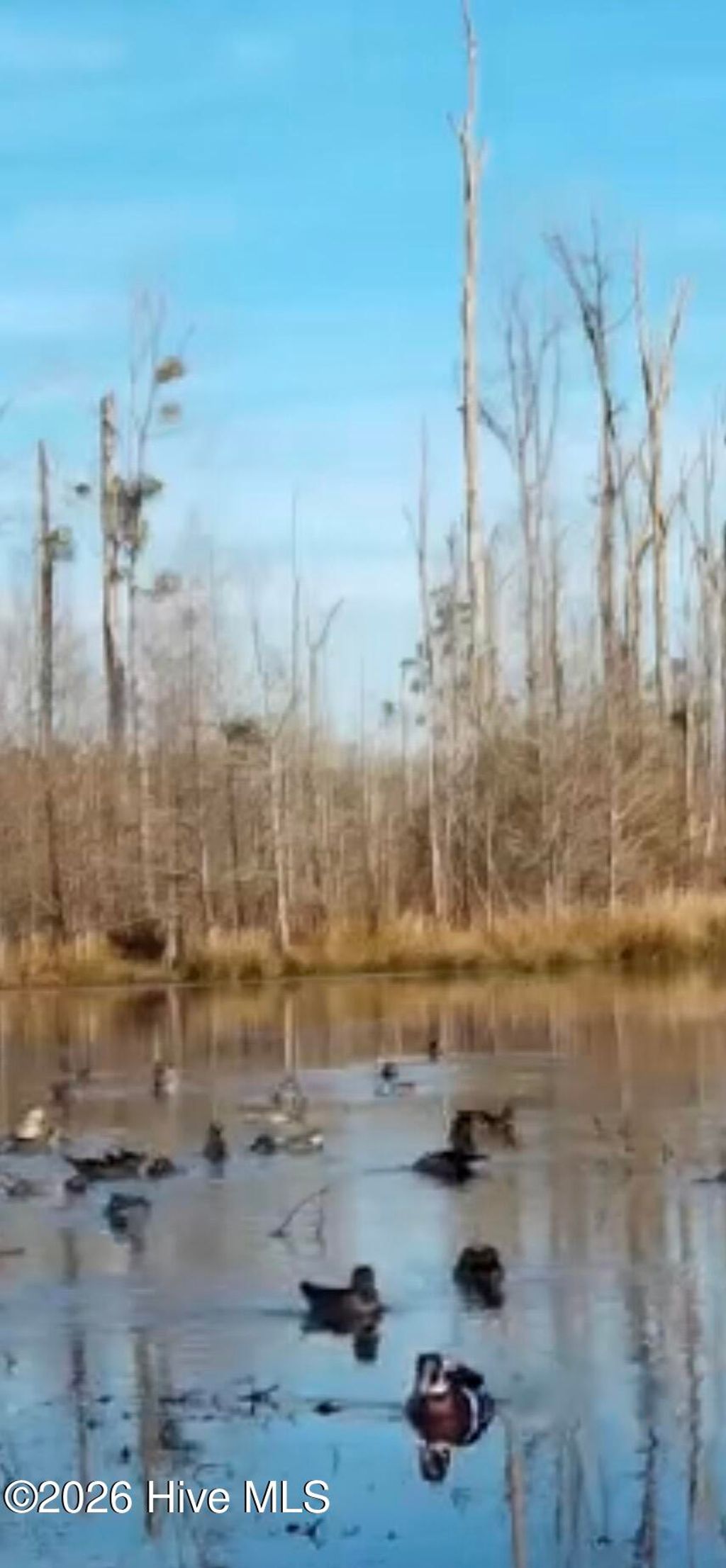 Photo of 943 Off 943 Governors Rd Nc 308 Road, Windsor, NC 27983 (MLS # 100555210)