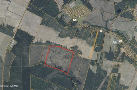 Vacant Land For Sale - 943 Off 943 Governors Rd Nc 308 Road<br/> Bertie County, Windsor, NC 27983