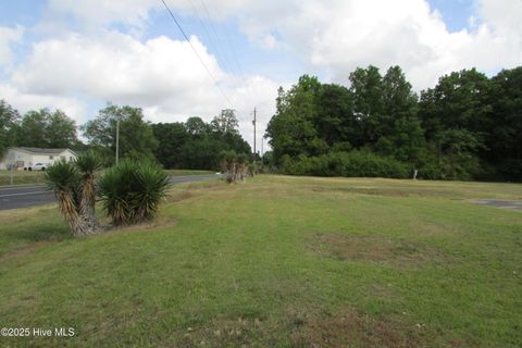 Vacant Land For Sale - N Peavine North Road<br/> Clinton, NC 28328