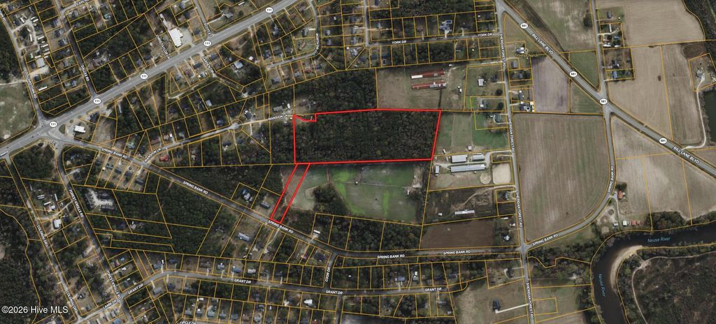 Photo of 0 Spring Bank Road, Goldsboro, NC 27534 (MLS # 100568139)