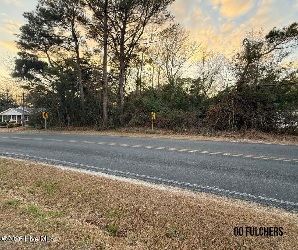 Photo of 175 Fulcher Landing Road, Sneads Ferry, NC 28460 (MLS # 100569417)