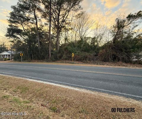 Photo of 175 Fulcher Landing Road, Sneads Ferry, NC 28460 (MLS # 100569417)