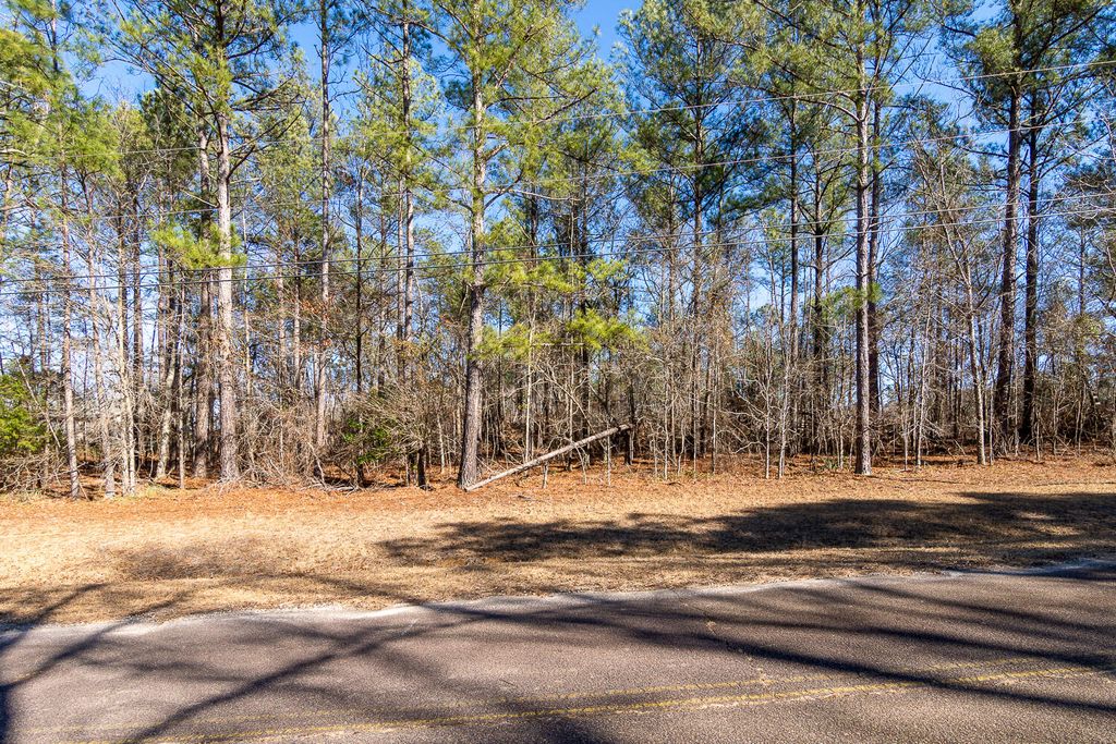 Photo of 1250 Nugget Drive, Grovetown, GA 30813 (MLS # 551879)