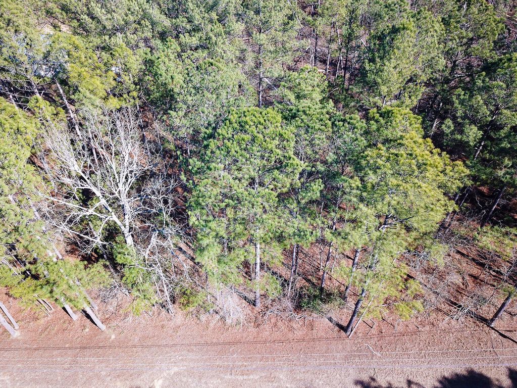 Photo of 1250 Nugget Drive, Grovetown, GA 30813 (MLS # 551879)