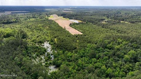 Tiny photo for 1680 George Il Highway SE, Bolivia, NC 28422 (MLS # 100574807)