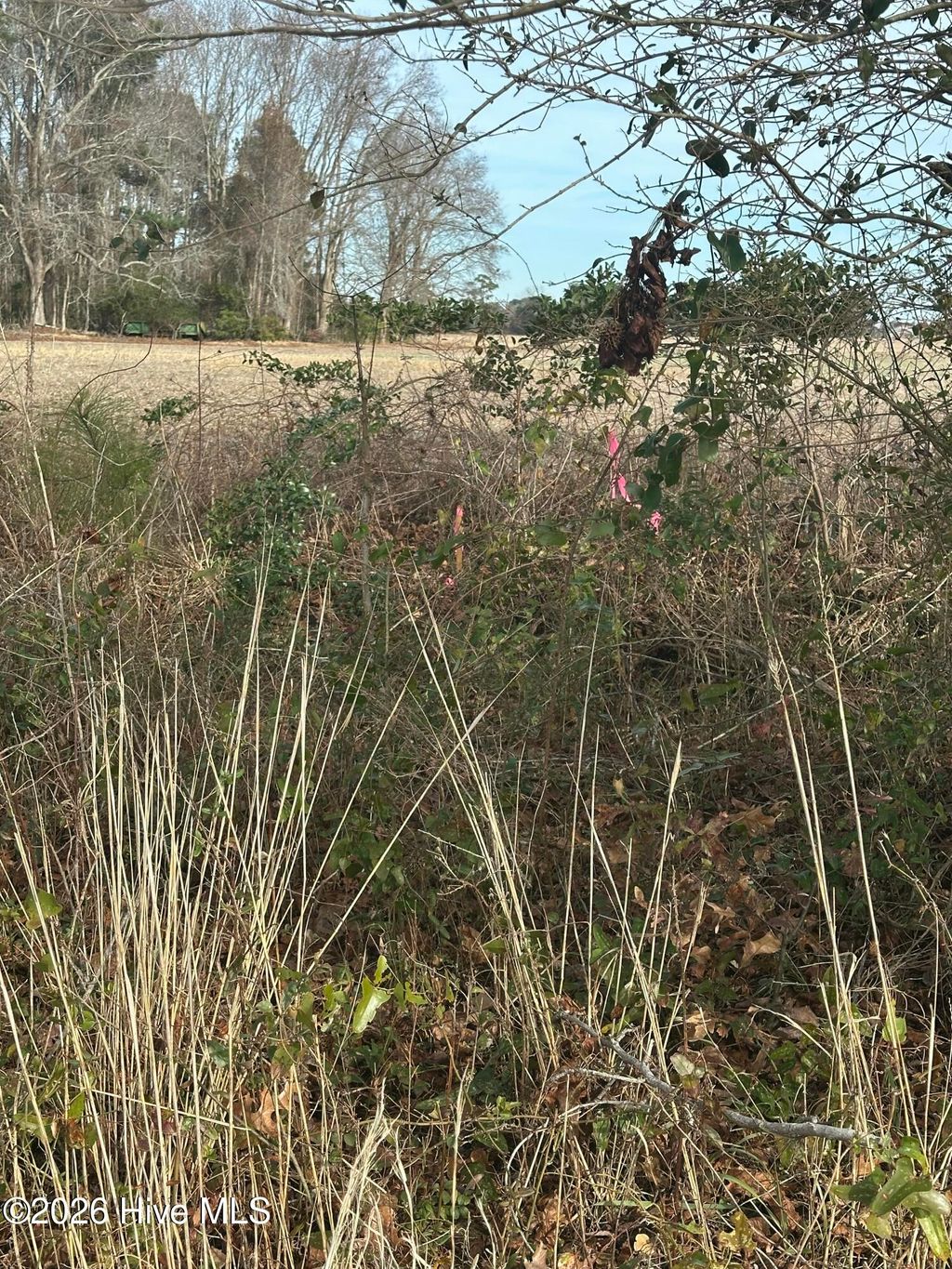 Photo of 2 Fisher Landing Road, Jarvisburg, NC 27947 (MLS # 100547245)