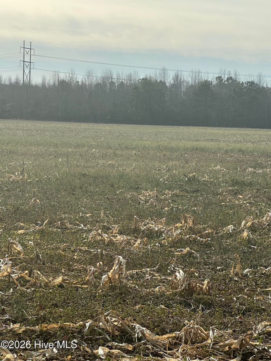 Photo of 2 Fisher Landing Road, Jarvisburg, NC 27947 (MLS # 100547245)