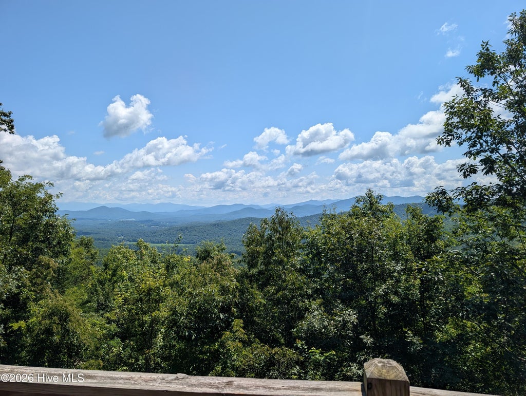 Photo of 175 Bear Trace, Brasstown, NC 28902 (MLS # 100604815)