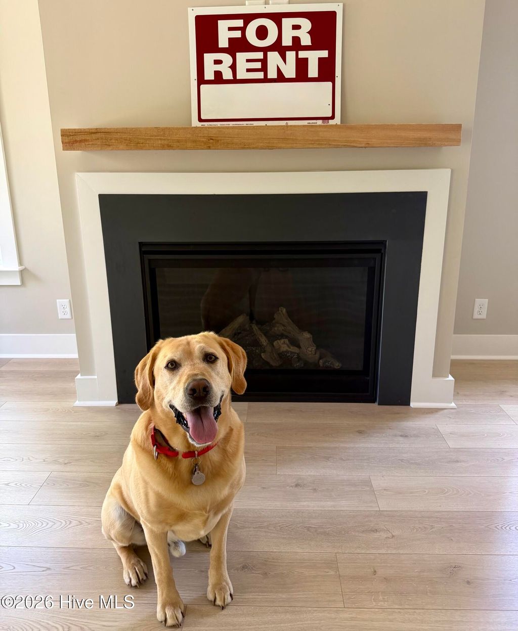 Photo of 1314 Carlyle Lane, Wilmington, NC 28405 (MLS # 100565274)