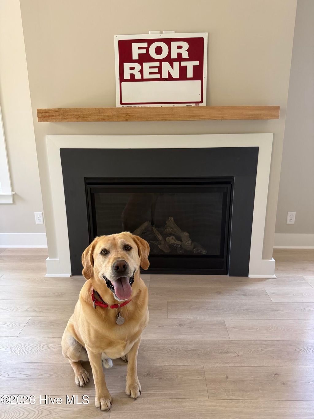 Photo of 1314 Carlyle Lane, Wilmington, NC 28405 (MLS # 100565274)