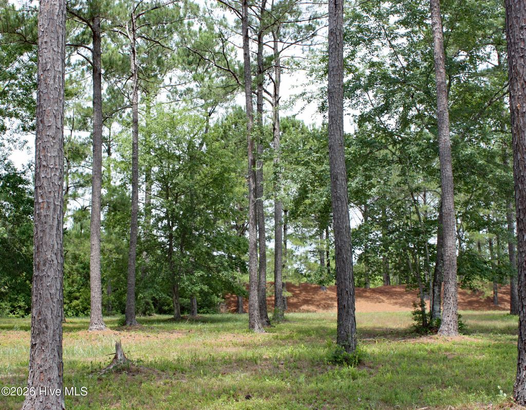 Photo of 761 Highgate Place SW, Ocean Isle Beach, NC 28469 (MLS # 100580600)