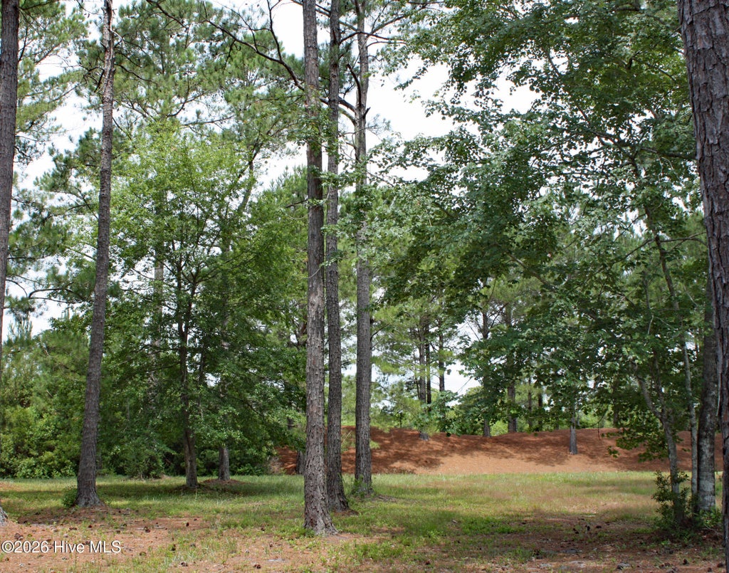 Photo of 761 Highgate Place SW, Ocean Isle Beach, NC 28469 (MLS # 100580600)