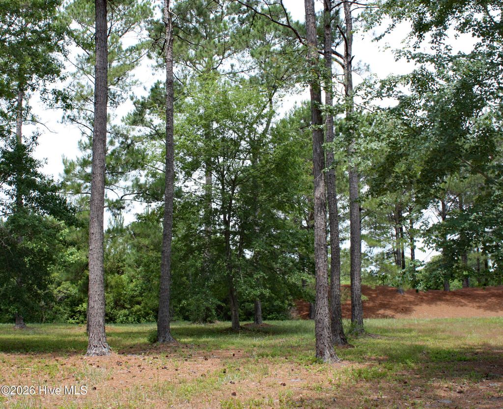 Photo of 761 Highgate Place SW, Ocean Isle Beach, NC 28469 (MLS # 100580600)
