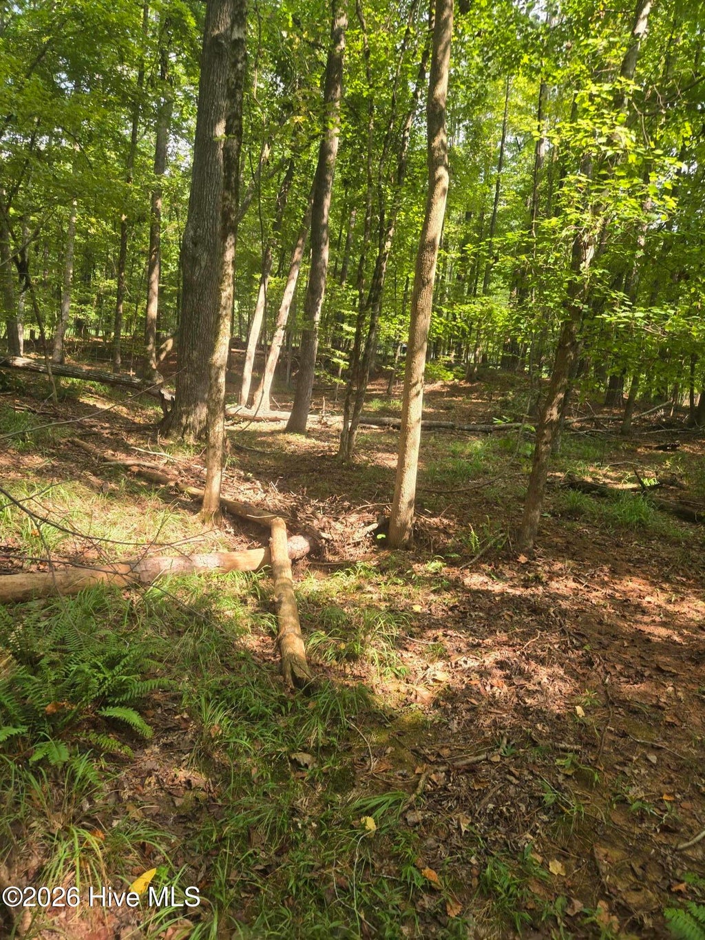 Photo of 12 Fishing Creek Estates Road, Lincolnton, GA 30817 (MLS # 100604608)