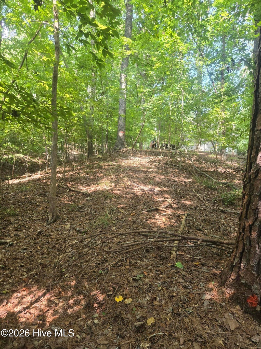 Photo of 12 Fishing Creek Estates Road, Lincolnton, GA 30817 (MLS # 100604608)
