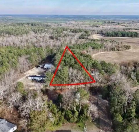 Vacant Land For Sale - 00 Vanest Road<br/> Ridge Spring, SC 29129