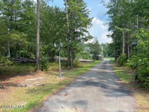 Tiny photo for 158 Widow Moore Drive, Currie, NC 28435 (MLS # 100592891)