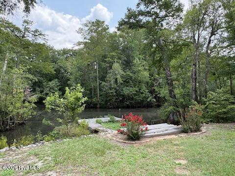 Tiny photo for 158 Widow Moore Drive, Currie, NC 28435 (MLS # 100592891)