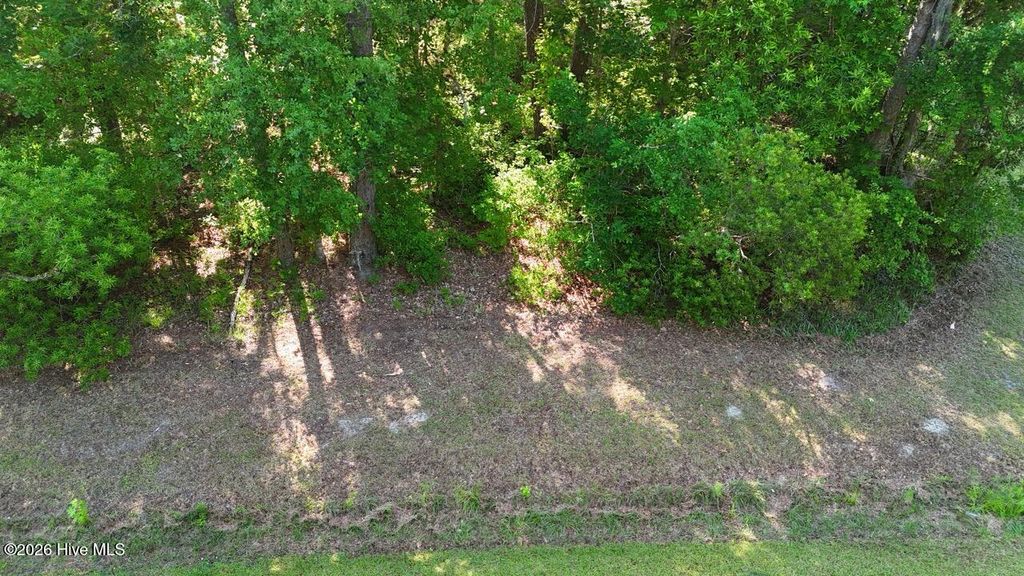 Photo of 126 Deer Trail, Beaufort, NC 28516 (MLS # 100576624)