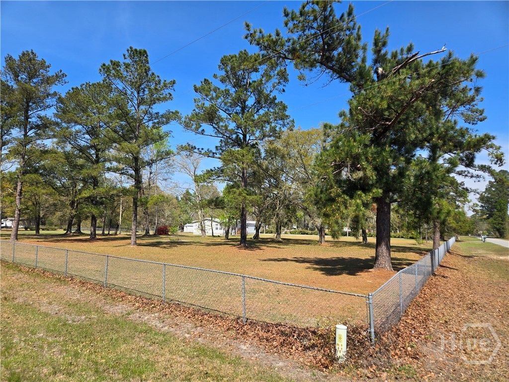 Photo of 1606 Homestead Drive, Ellabell, GA 31308 (MLS # SA350806)
