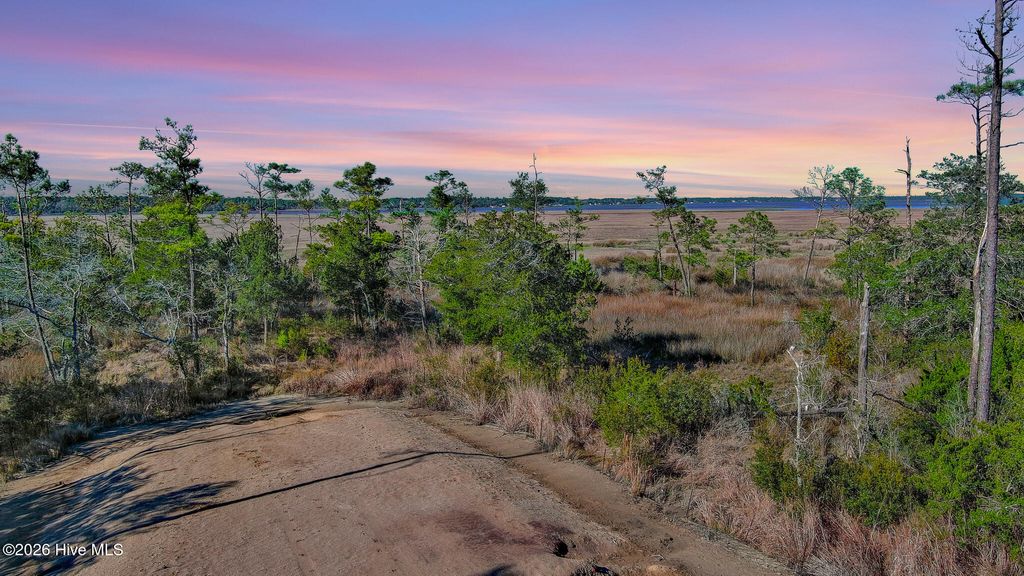 Photo of 1217 Strange Court, Morehead City, NC 28557 (MLS # 100563002)