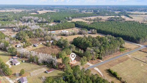 Tiny photo for 3844 Piney Woods Road, Willard, NC 28478 (MLS # 100544155)