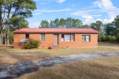 Photo of 3844 Piney Woods Road, Willard, NC 28478 (MLS # 100544155)