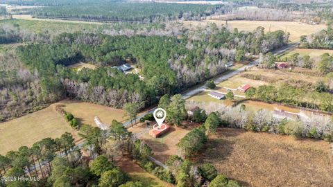 Tiny photo for 3844 Piney Woods Road, Willard, NC 28478 (MLS # 100544155)