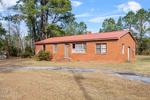 Tiny photo for 3844 Piney Woods Road, Willard, NC 28478 (MLS # 100544155)