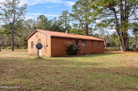 Tiny photo for 3844 Piney Woods Road, Willard, NC 28478 (MLS # 100544155)