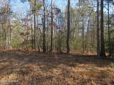 Vacant Land For Sale - 107 Dot Sears Drive<br/> Grandy, NC 27939