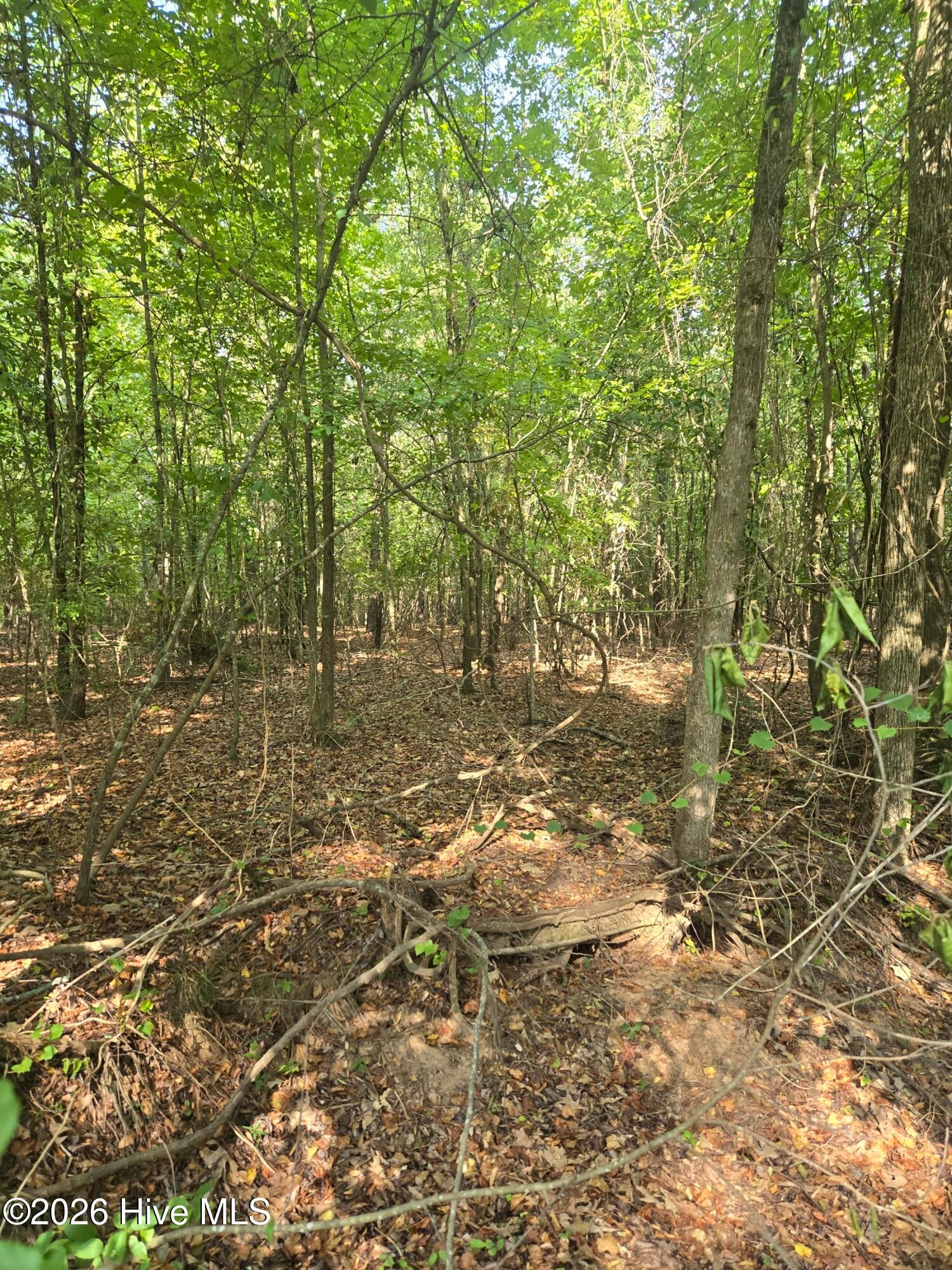 0 Deer Run Court
