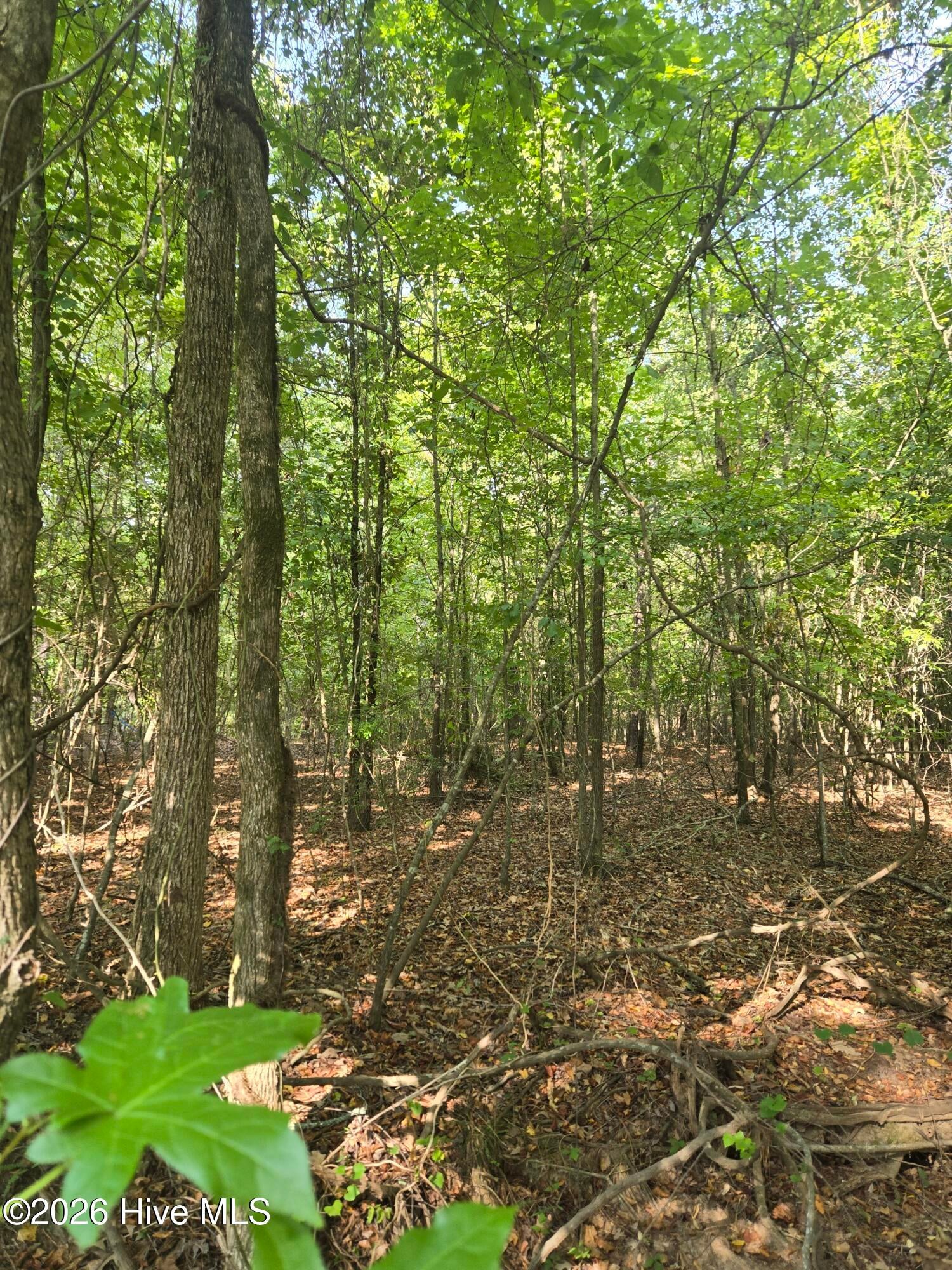 0 Deer Run Court
