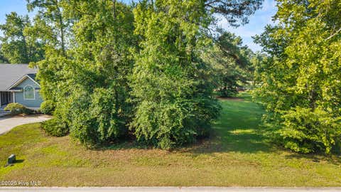 Vacant Land For Sale - 160 Firefly Drive<br/> Duplin County, Wallace, NC 28466