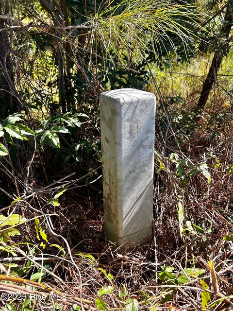 Tiny photo for 11 Upland Road, Willard, NC 28478 (MLS # 100530245)