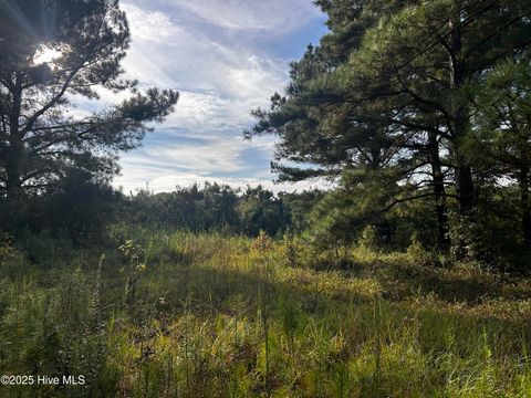 Tiny photo for 11 Upland Road, Willard, NC 28478 (MLS # 100530245)