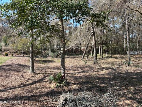 Tiny photo for 1951 Redfish Run SW, Supply, NC 28462 (MLS # 100571436)