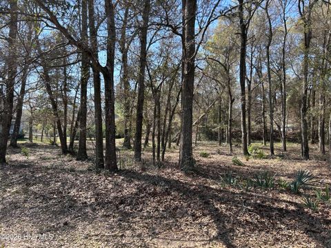 Tiny photo for 1951 Redfish Run SW, Supply, NC 28462 (MLS # 100571436)