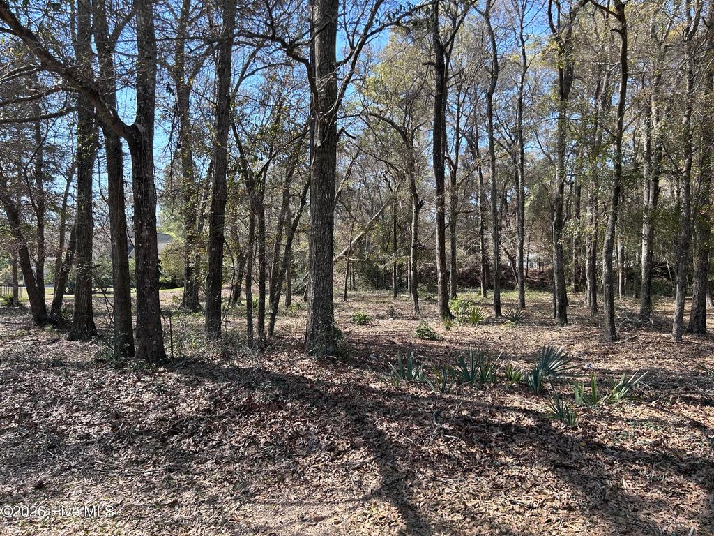Photo of 1951 Redfish Run SW, Supply, NC 28462 (MLS # 100571436)