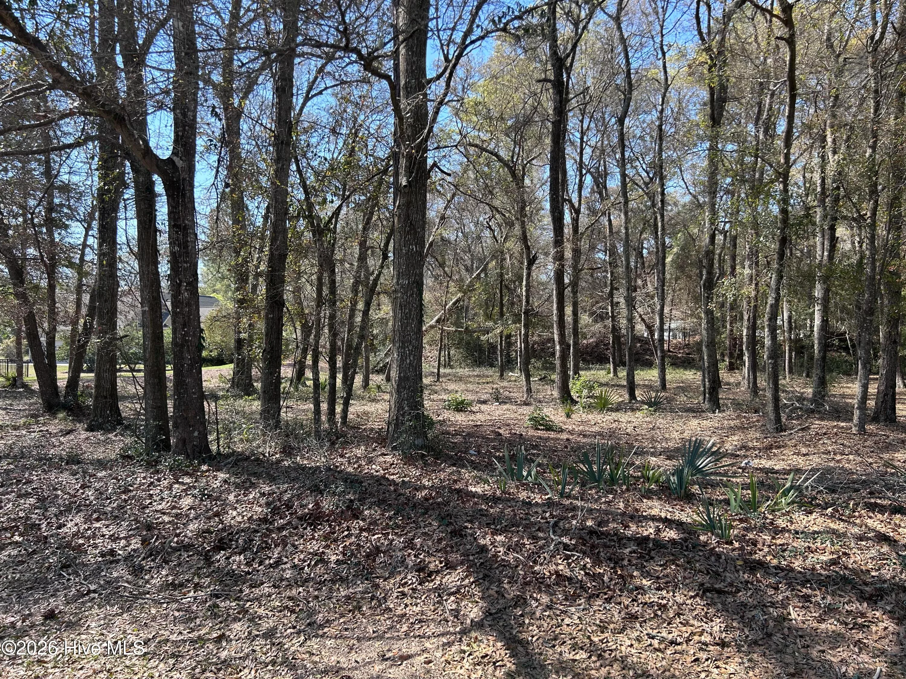 1951 Redfish Run SW