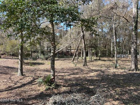 Tiny photo for 1951 Redfish Run SW, Supply, NC 28462 (MLS # 100571436)