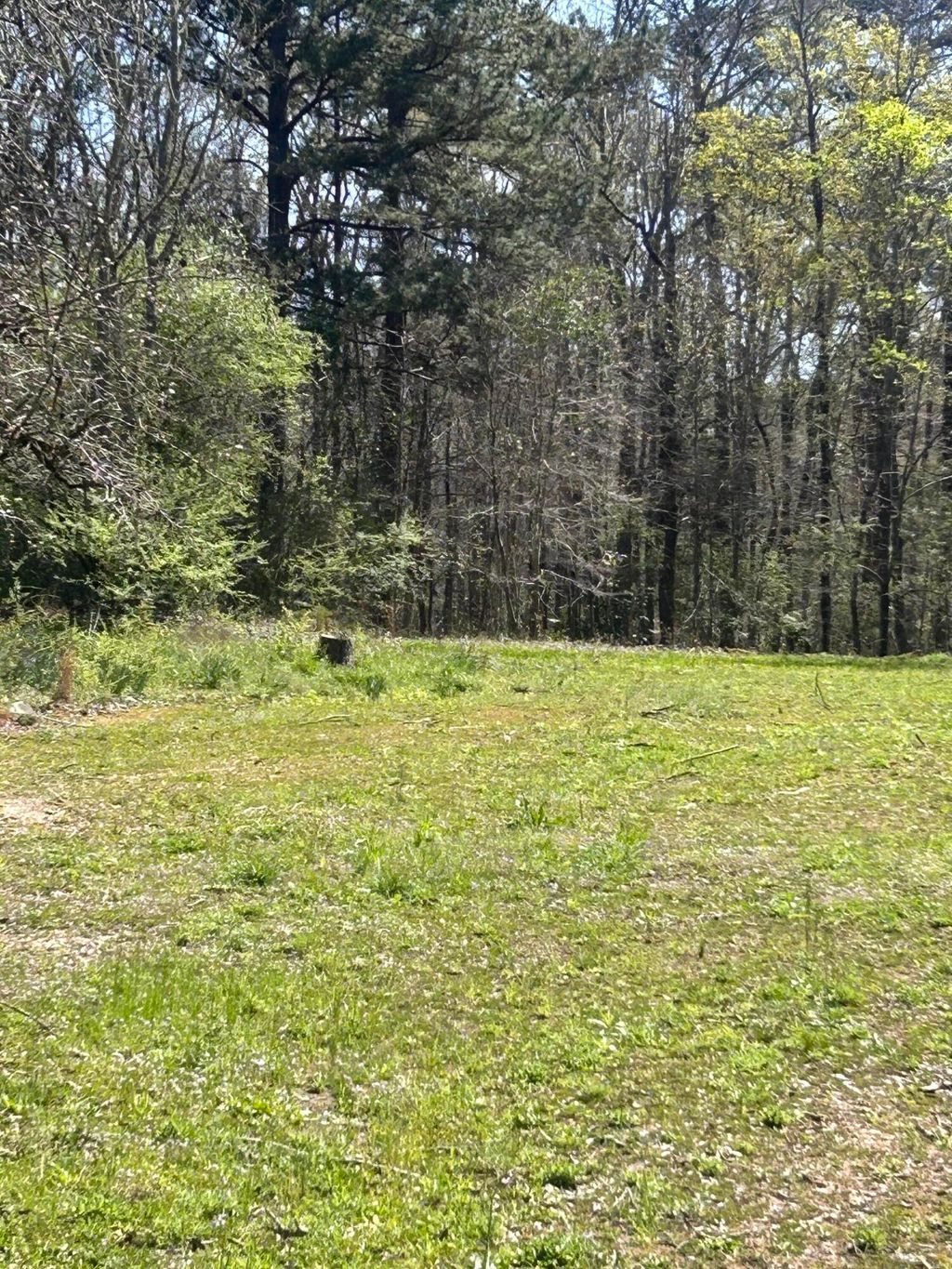 Photo of 5824 NE Lincolnton Road, Thomson, GA 30824 (MLS # 553567)