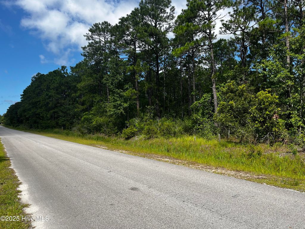 Photo of 19 W Boiling Spring Road, Boiling Spring Lakes, NC 28461 (MLS # 100544421)