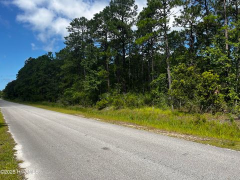 Photo of 19 W Boiling Spring Road, Boiling Spring Lakes, NC 28461 (MLS # 100544421)