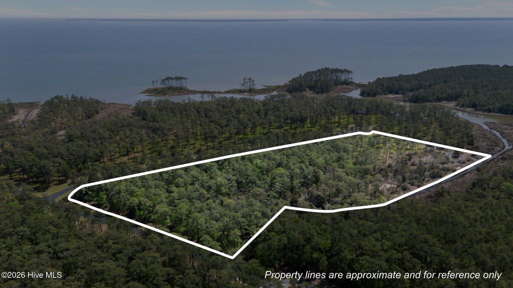 Photo of 178 River Watch Road, Oriental, NC 28571 (MLS # 100569677)