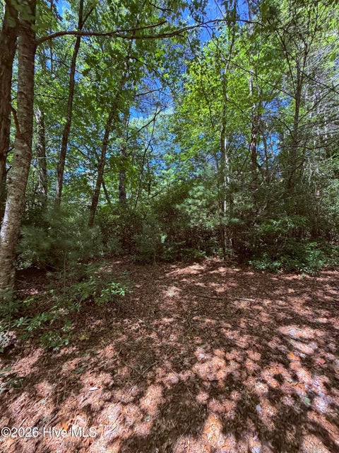 Vacant Land For Sale - LOT 12 Holly Ridge Drive<br/> Macon County, Topton, NC 28781
