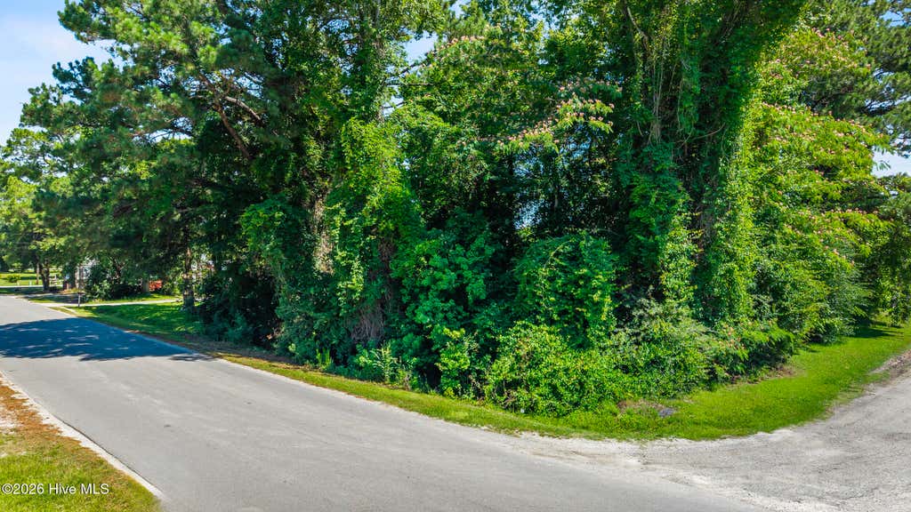 Photo of Tbd Thomas Humphrey Road, Jacksonville, NC 28546 (MLS # 100587458)
