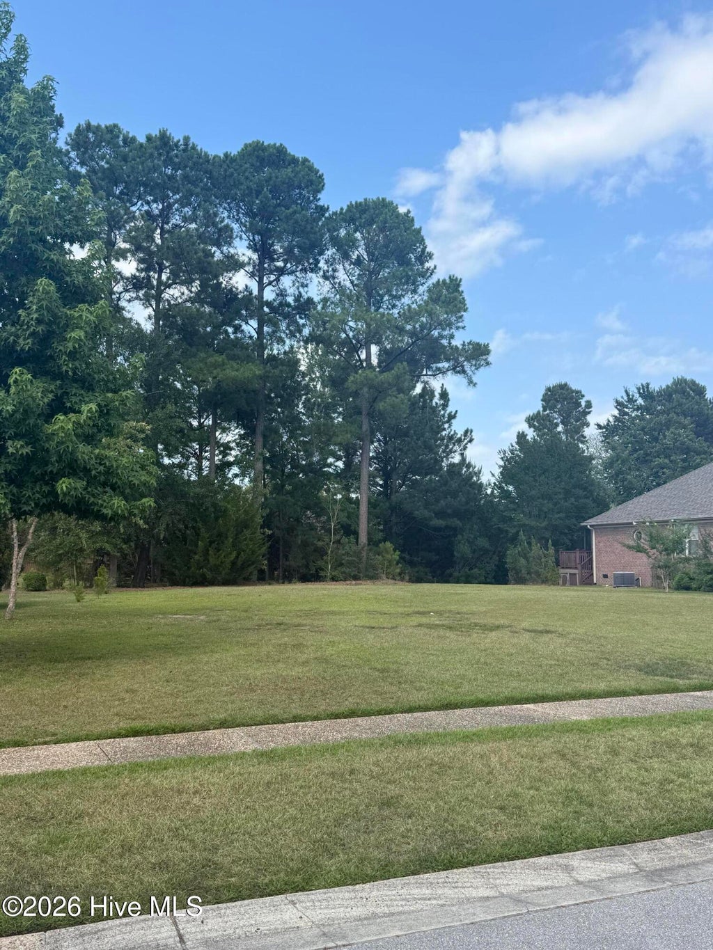 Photo of 907 Spicebush Drive, Leland, NC 28479 (MLS # 100602403)